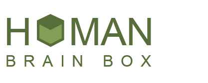 Human Brain Box